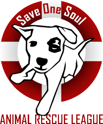 About Save One Soul Animal Rescue League