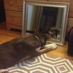 An Update from Hunter's New Family! 8