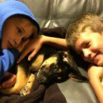 Happy Tail Update: Penny at Home! 6 Happy Tail Update: Penny at Home! 5