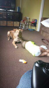 Happy Tails Update: Cinnamon Spice 4 watching over her baby brother