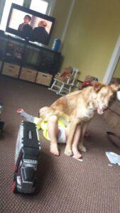 Happy Tails Update: Cinnamon Spice 3 Using her baby brother as a chair :)