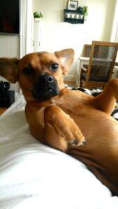 Lounging around