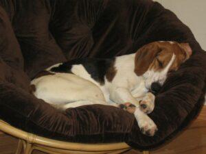 IMG_1885 (1)