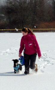 Happy Tails: Dusty 2 dustyinsnow