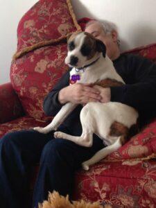 Happy Tail: Toby (formerly Bruiser) 2 10409095_10203804079092039_8003124481695045812_n