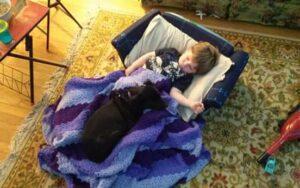 Happy Tails: Bandi 6 Guarding baby brother