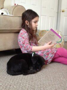 Happy Tail: Riptide (formerly Little Man) 2 image (3)