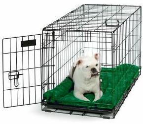 Crate training is a very effective way to establish proper behavior patterns.