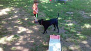 Happy Tail Update: Bandi 3 Bandi and Ross
