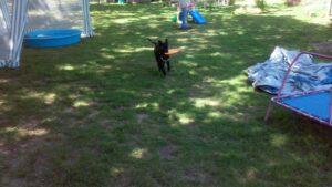 Happy Tail Update: Bandi 5 0610151354a