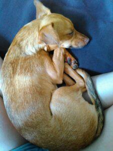Happy Tail: Emma (formerly Noel) 1 Emma1