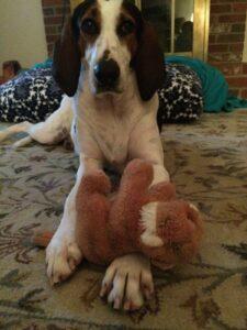 Happy Tail: Andi 1 Andi1