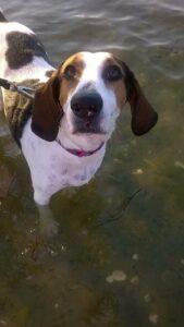 Happy Tail: Andi 2 Andi2
