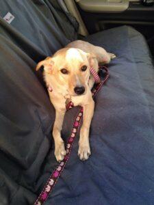 Happy Tail: Madin 3 Madin3
