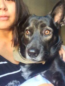 Buddy1
