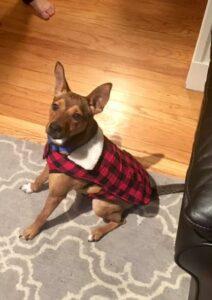 Ryder1
