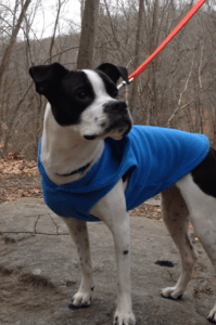 Happy Tail: Mia 1 Mia