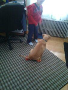 Happy Tail: Chance (formerly Oscar the Grouch) 8 Chance5