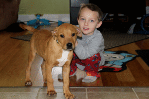 Happy Tail: Chance (formerly Oscar the Grouch) 5 Chance8