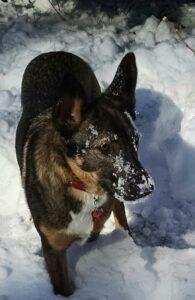 Happy Tail: Lady (formerly River) 1 Lady