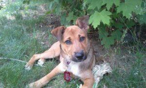 Happy Tail: Minnie 1 Minnie