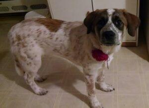 Sadie3