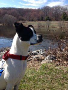 Happy Tail: Mia 1 Mia4