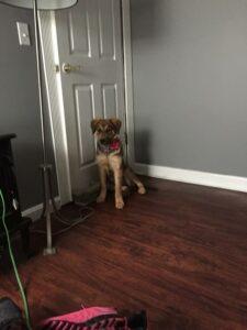 Molly2