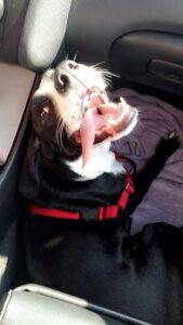 Happy Tail: Jack (formerly Neo Newark) 2 NeoNewark