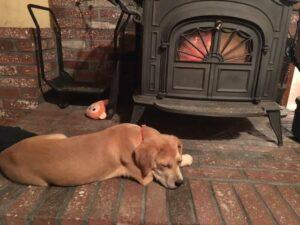 Happy Tail: Nola (formerly Clara Angel) 3 Nola3