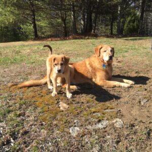 Happy Tail: Nola (formerly Clara Angel) 2 Nola4