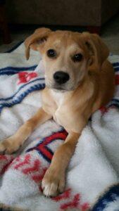 Happy Tail: Nola (formerly Clara Angel) 1 Nola5
