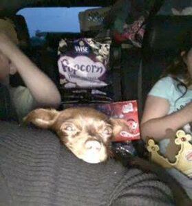 Happy Tails: Momo (formerly Buddy Boo) 1 Momo1