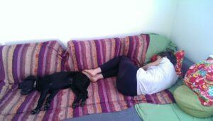 Happy Tail: Miss Cassia 2 cassia3