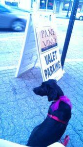 Happy Tail: Miss Cassia 3 cassia4