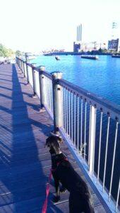 Happy Tail: Miss Cassia 4 cassia5