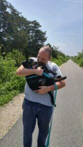 Happy Tail: Bailey 6 bailey5