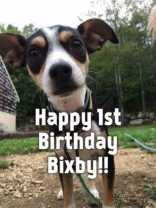 bixby