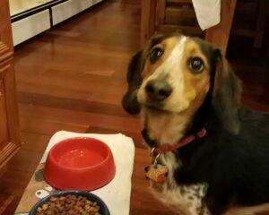 Happy Tail: Ború (formerly Aladdin Fairy Tale) 3