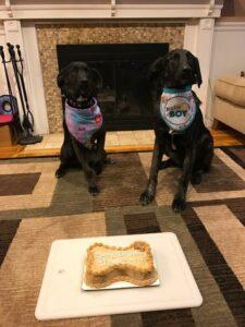 Happy Tail: Benny and Harper 3