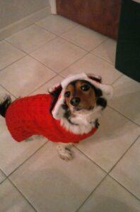 Happy Tail: Freckles (formerly Ariel Fairytale) 11