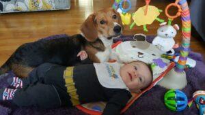 Happy Tail: Dobby (fomerly Ryder Cain) 1