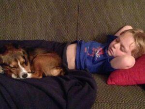 Happy Tail: Monty 1