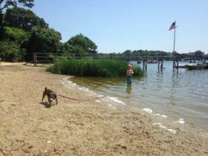 Happy Tail: Monty 5