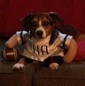 Happy Tail: Monty 9