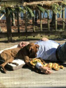 Happy Tail: Ollie 5