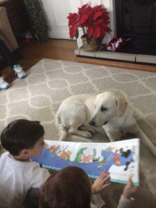 Happy Tail: Grace (formerly Lacy) 9