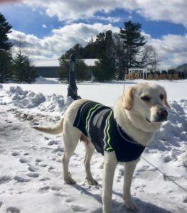 Happy Tail: Grace (formerly Lacy) 3
