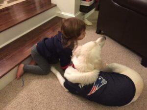 Happy Tail: Grace (formerly Lacy) 1