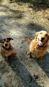 Happy Tail: Brooke 6 Happy Tail: Brooke 5